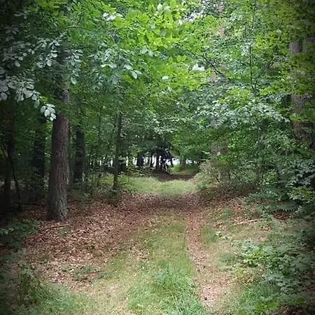 Le Loft Дом отдыха