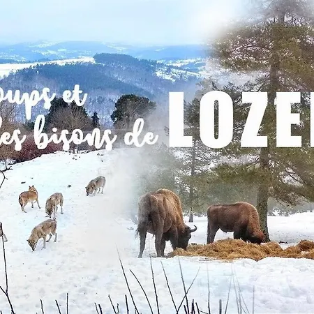 Дом отдыха Le Loft Barjac (Lozere)