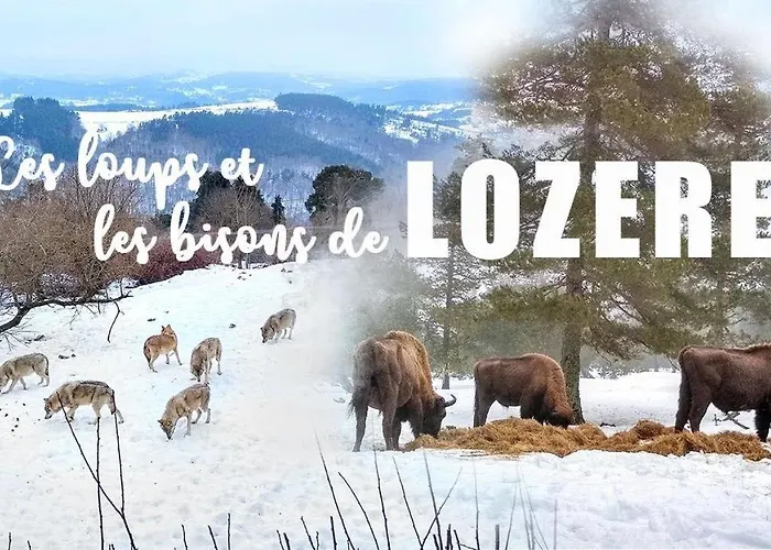 펜션 Le Loft Barjac (Lozere)